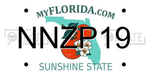 NNZP19 Florida License Plate