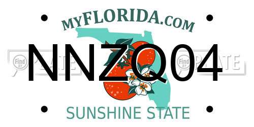 NNZQ04 Florida License Plate
