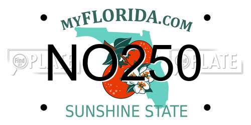 NO250 Florida License Plate