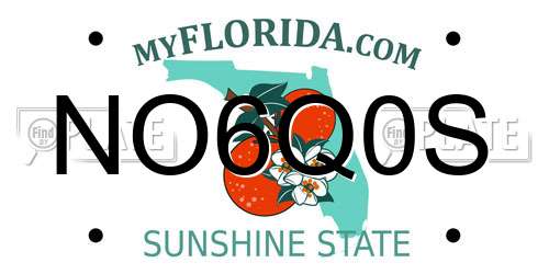 NO6Q0S Florida License Plate