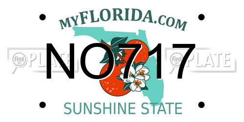 NO717 Florida License Plate