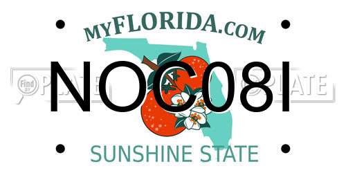 NOC08I Florida License Plate