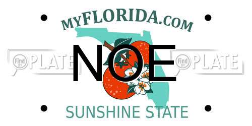 NOE Florida License Plate