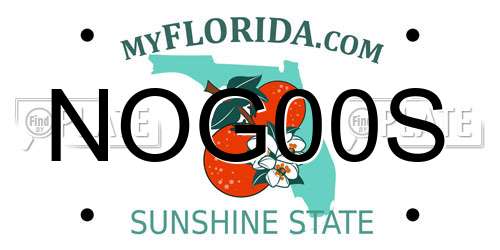 NOG00S Florida License Plate