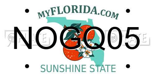 NOGQ05 Florida License Plate