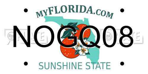 NOGQ08 Florida License Plate