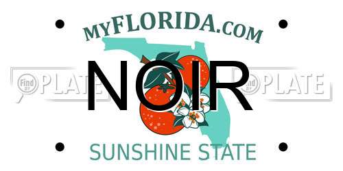NOIR Florida License Plate