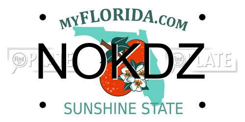 NOKDZ Florida License Plate