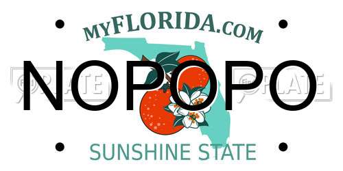 NOPOPO Florida License Plate