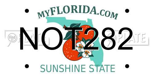 NOT282 Florida License Plate
