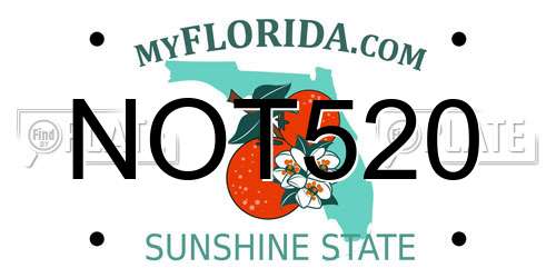 NOT520 Florida License Plate