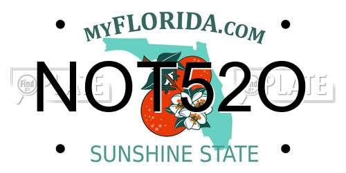 NOT52O Florida License Plate