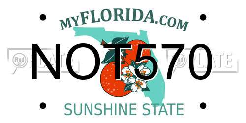 NOT570 Florida License Plate