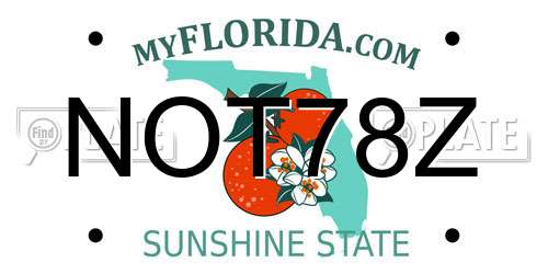 NOT78Z Florida License Plate
