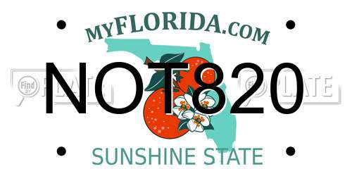 NOT820 Florida License Plate