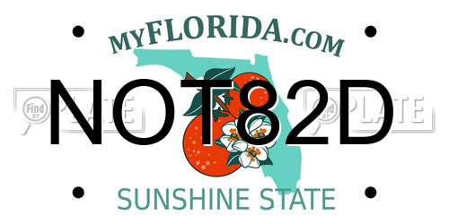 NOT82D Florida License Plate