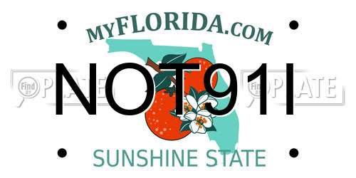 NOT91I Florida License Plate