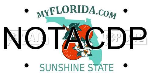 NOTACDP Florida License Plate