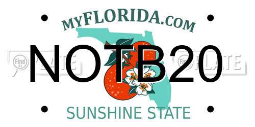 NOTB20 Florida License Plate