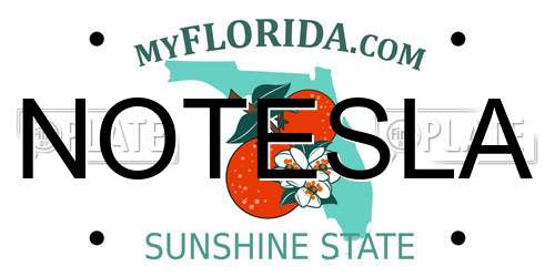 NOTESLA Florida License Plate