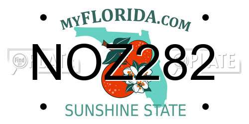 NOZ282 Florida License Plate