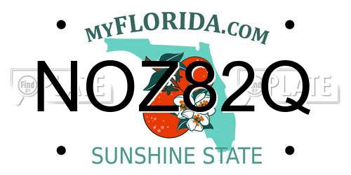 NOZ82Q Florida License Plate