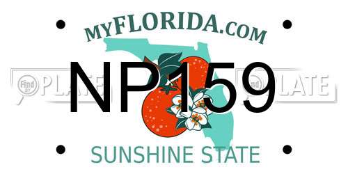 NP159 Florida License Plate