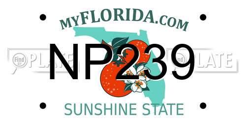 NP239 Florida License Plate