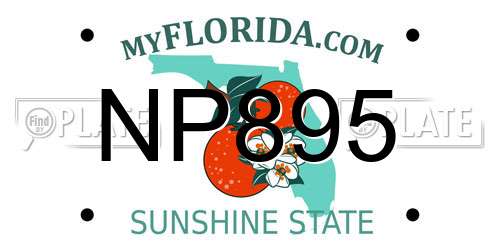 NP895 Florida License Plate