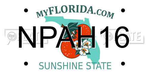 NPAH16 Florida License Plate