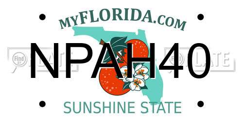 NPAH40 Florida License Plate