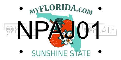 NPAJ01 Florida License Plate