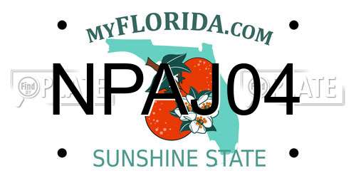 NPAJ04 Florida License Plate