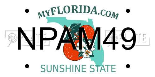 NPAM49 Florida License Plate