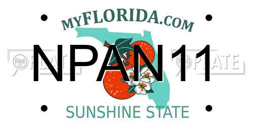 NPAN11 Florida License Plate