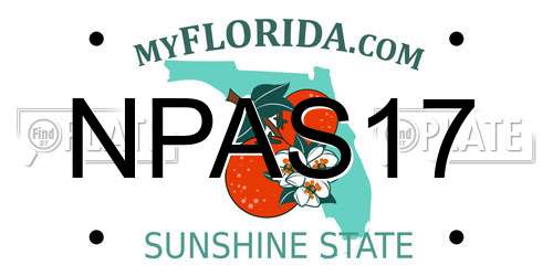 NPAS17 Florida License Plate
