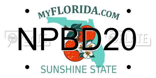 NPBD20 Florida License Plate