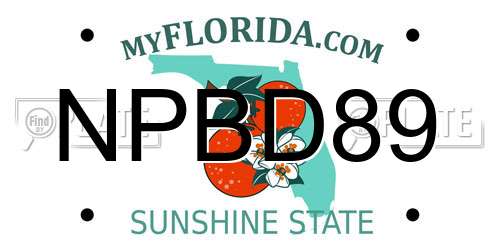 NPBD89 Florida License Plate
