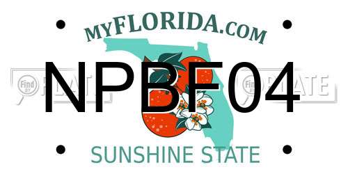NPBF04 Florida License Plate