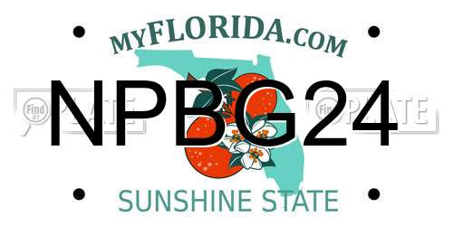 NPBG24 Florida License Plate
