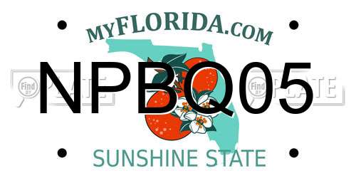NPBQ05 Florida License Plate