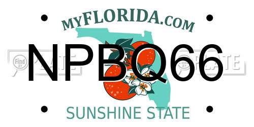 NPBQ66 Florida License Plate