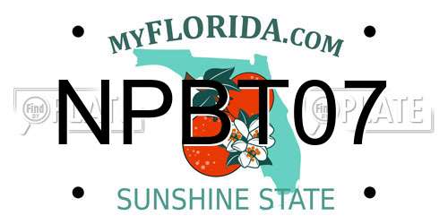 NPBT07 Florida License Plate