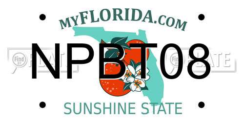 NPBT08 Florida License Plate