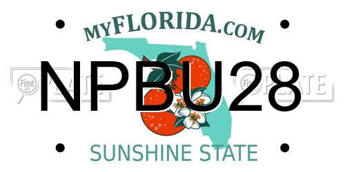 NPBU28 Florida License Plate