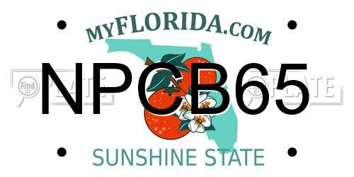 NPCB65 Florida License Plate