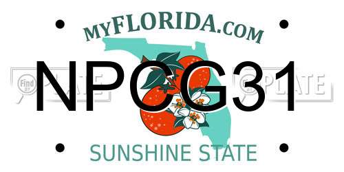 NPCG31 Florida License Plate