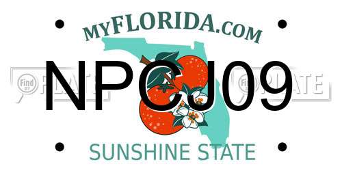 NPCJ09 Florida License Plate
