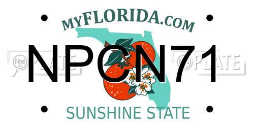 NPCN71 Florida License Plate