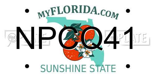 NPCQ41 Florida License Plate